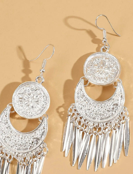 Silver Shining Earrings